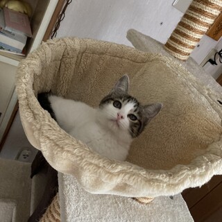 有り難うございました