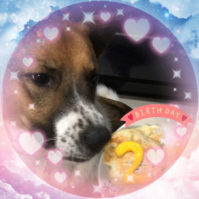 いちはちきゅ-たのカバー写真