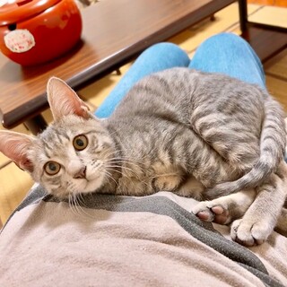 ほがらかナルトくん❣