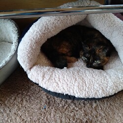 「また買ってしまった(´Д｀;)」サムネイル3