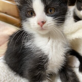 12/4稲毛ෆ⃛とっても活発ෆ⃛まめちゃん