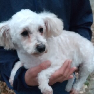 私   石川さんです