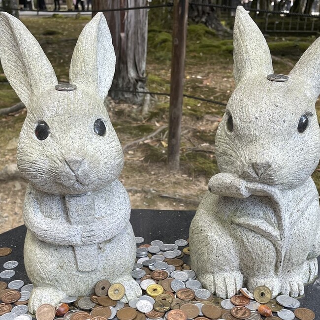 okamein5のカバー写真