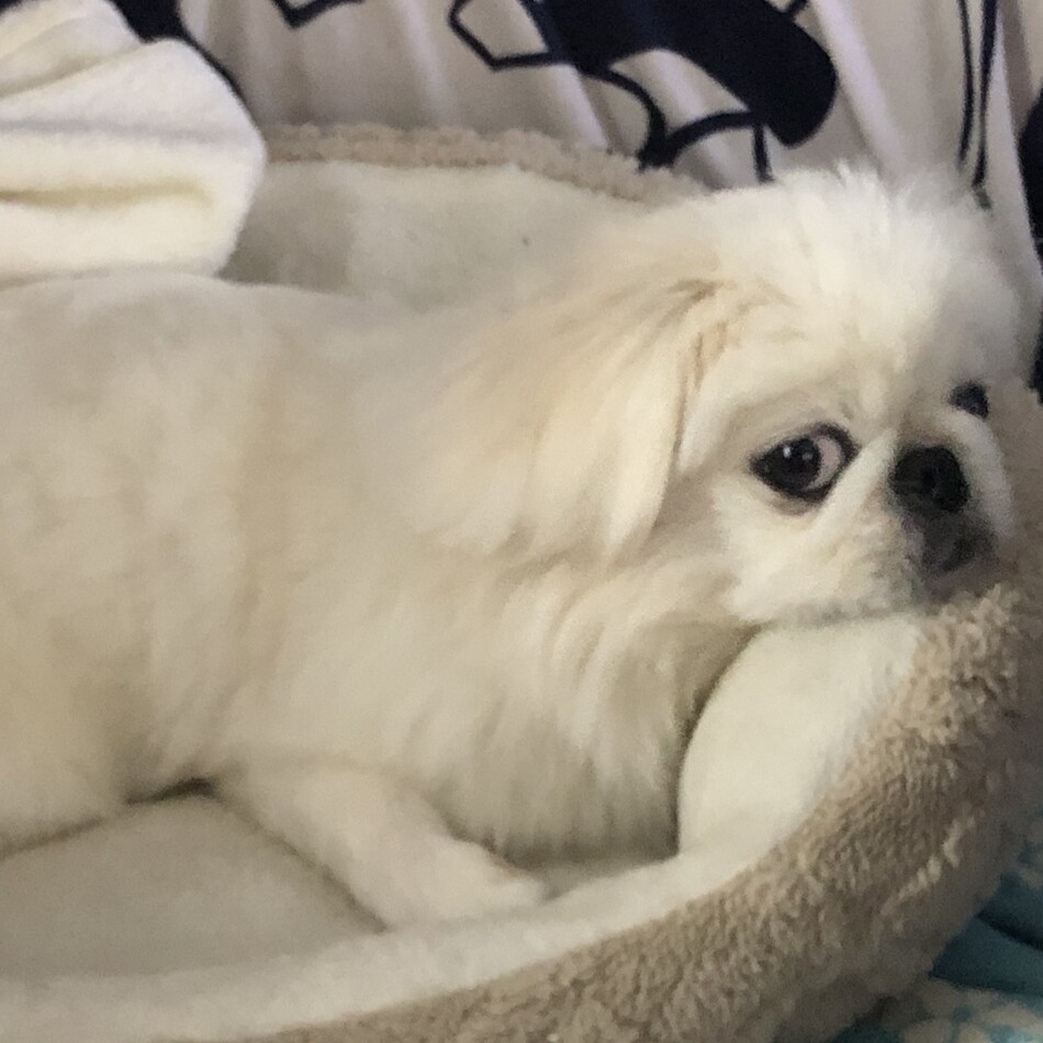 ととまるのカバー写真