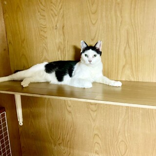 甘えんぼうのカッパちゃん