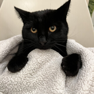 THE甘えん坊の極み⭐︎くろっぺ