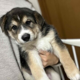 マイペースで困り顔の男の子、松くん♪