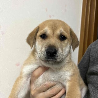 元気いっぱい、困り顔の男の子、浜くん♪