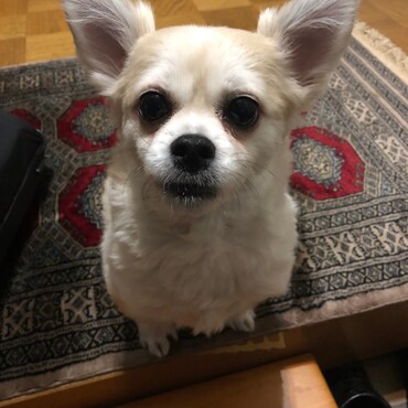 お父さんお帰り❤️