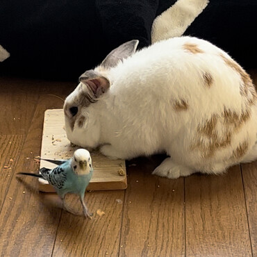 の写真