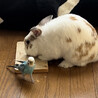 の写真