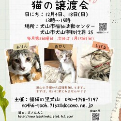 猫の譲渡会@犬山市福祉活動センター
