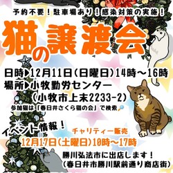 保護猫の譲渡会in小牧