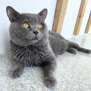 とっても人懐っこい男の子です♡