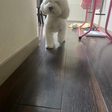 の写真