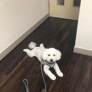 よろしくお願いします。