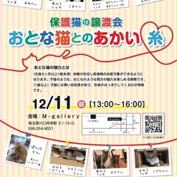 おとな猫とのあかい糸