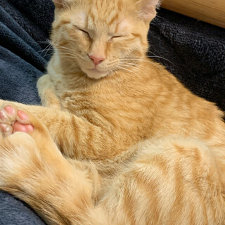 誰か助けてください