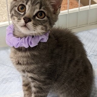 寄り添ってくる甘えん坊♡ちはるくん