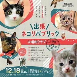 出張ネコリパin堺東vol.2