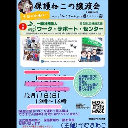 保護ねこの譲渡会