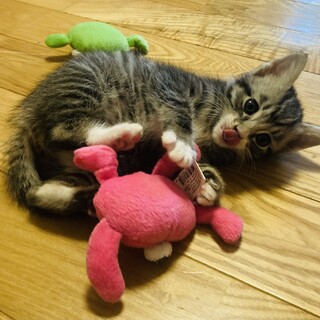 ありがとうございました