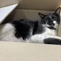 抱っこが大好きな男の子