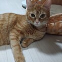 遊ぶの大好き♡ぽんたクン