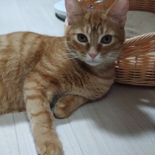 遊ぶの大好き♡ぽんたクン