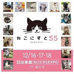 ねこにすと５５　ＥＸＰＯ