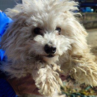 小柄でかわいい男の子