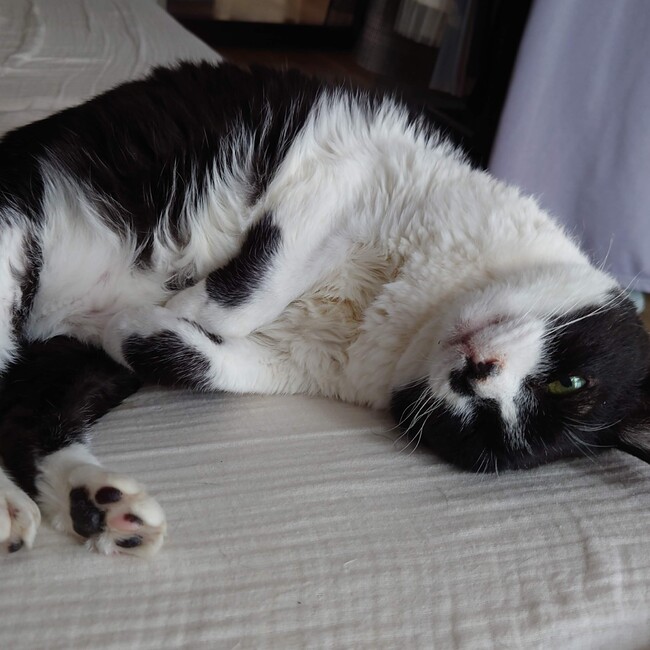 equusのカバー写真