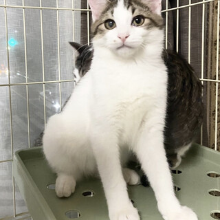 【1/8東銀座】ホクロくん5ヵ月♪