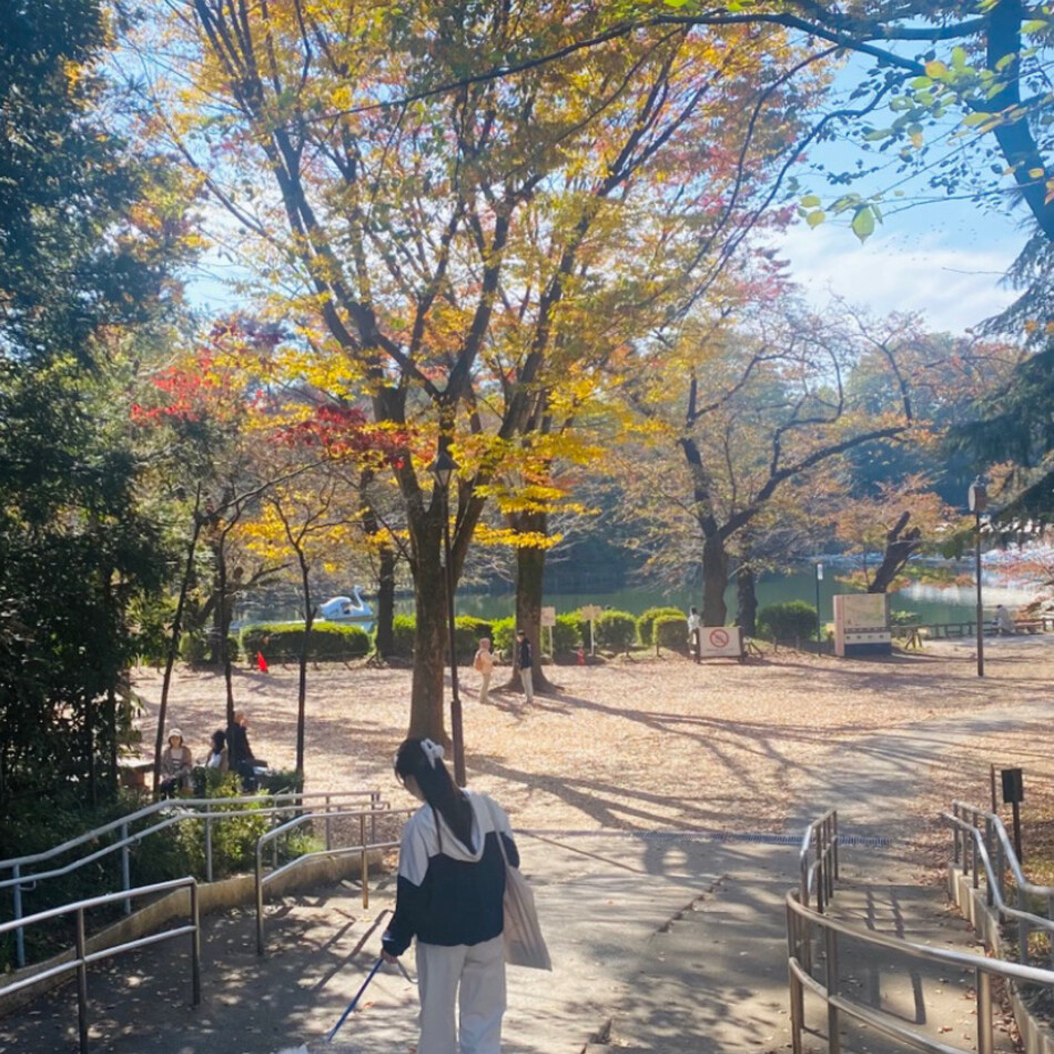 さくらのカバー写真