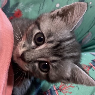 ありがとうございました