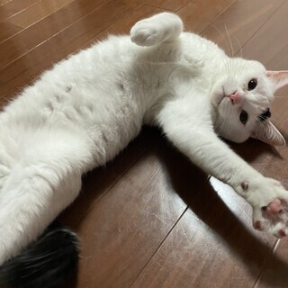 手に負えないと放棄されたけど今ではいいお兄ちゃん！