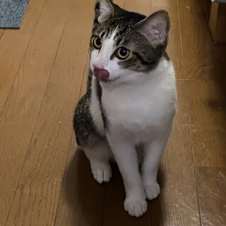 おっとりほっこりな女の子♡