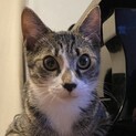 お鼻とお鼻をコッツンこ♡
