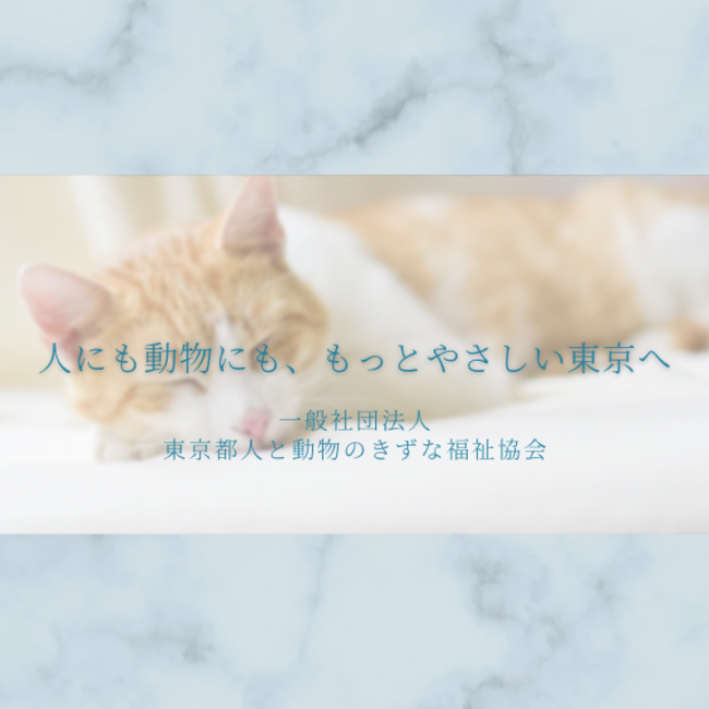 一般社団法人東京都人と動物のきずな福祉協会のカバー写真