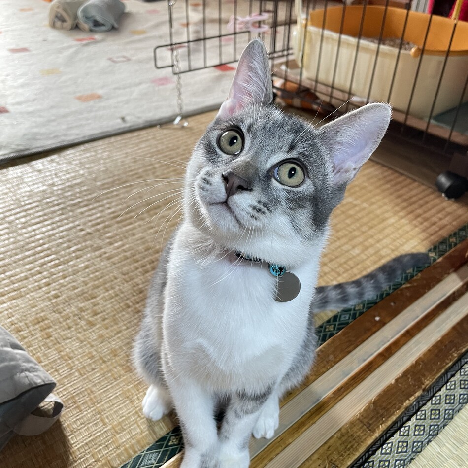 みぞれのカバー写真