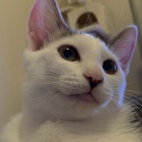マチルダ