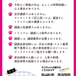 幸せをつなぐ会 サムネイル2