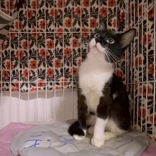 ルックスも性格も可愛い黒白女子の雫！