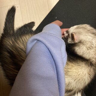 忙しくない方。大事にしてくださる方募集してます。