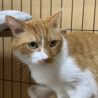 人馴れ抜群⭐︎セン