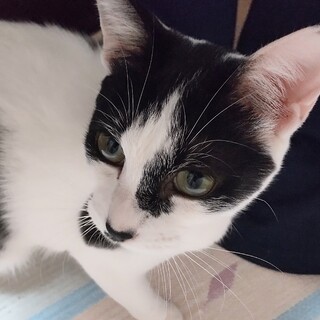 明るくフレンドリー、優しいユキちゃん