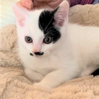 穏やかで優しい2ヶ月の男の子（なぎ君）