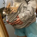 11月18日生まれの2匹の女の子