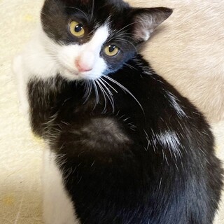 むちむちボーイ3ヶ月