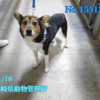 ありがとうございました！